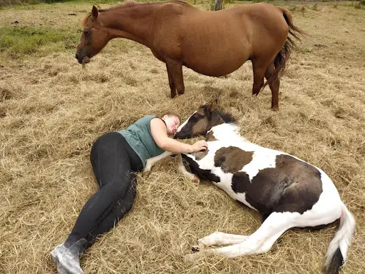 Equithérapie Linfée