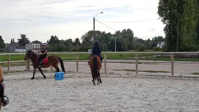 Ecuries du Romblay Geoffroy Lecocq