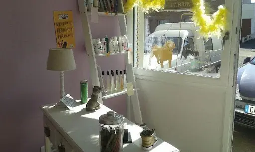 La Maison de Choupette
