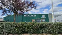 Animarket