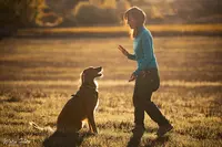 Comportementaliste Educateur Canin - les Ateliers d'Olympe