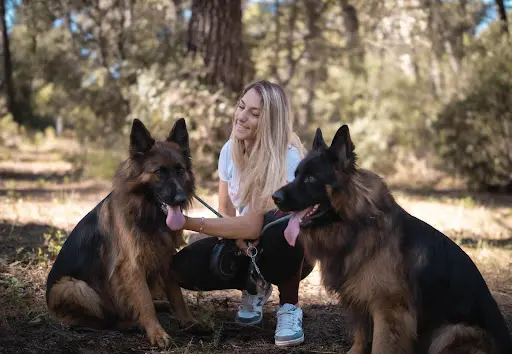 Fidog Services Éducation & Promenades Canines