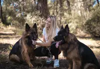 Fidog Services Éducation & Promenades Canines