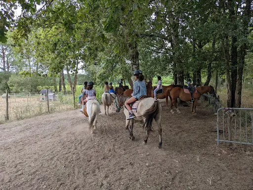 La Ferme aux Chevaux