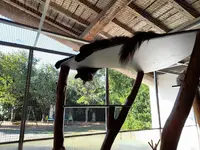 Chatterie la Belle Vie
