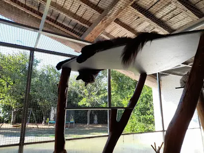 Chatterie la Belle Vie