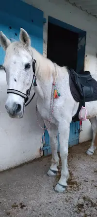 La Licorde