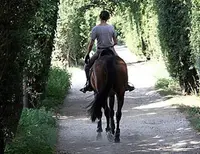 Fumey Frédéric