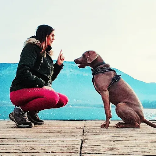 Pôle Canin d'Education Respectueuse Cynonyx-éducation Canine