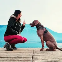Pôle Canin d'Education Respectueuse Cynonyx-éducation Canine