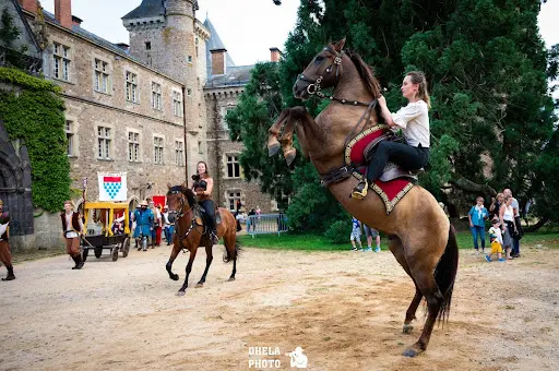 Vikinger - Spectacle Equestre Auvergne