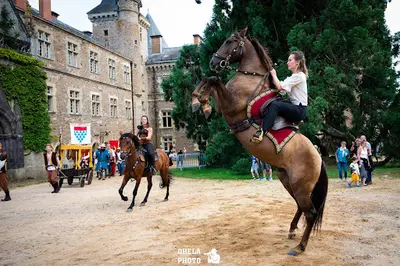 Vikinger - Spectacle Equestre Auvergne