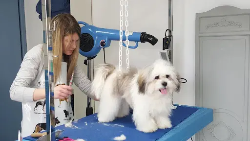 l'Atelier de Mil🐾ou