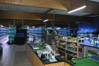 Oxyfish