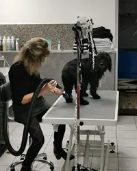 Coco Canin Vernet