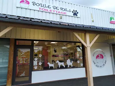 Boule de Poils Toilettage