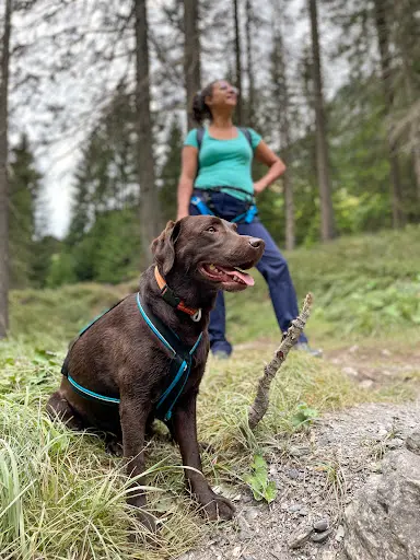 Autrement Canin - Éducatrice Comportementaliste Canin
