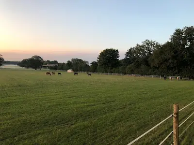 Haras du Gremillon
