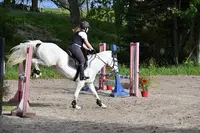 Haras de Marangis | Centre Équestre | Pensions Pour Chevaux (77)