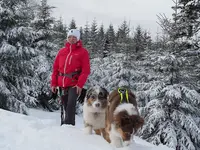 Dog Educ School