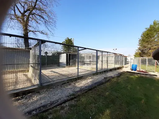 Cani-services