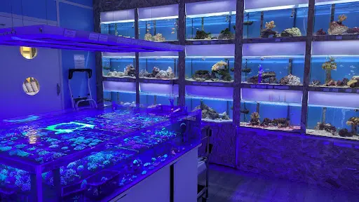 l'Atelier de l'Aquarium