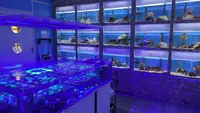 l'Atelier de l'Aquarium