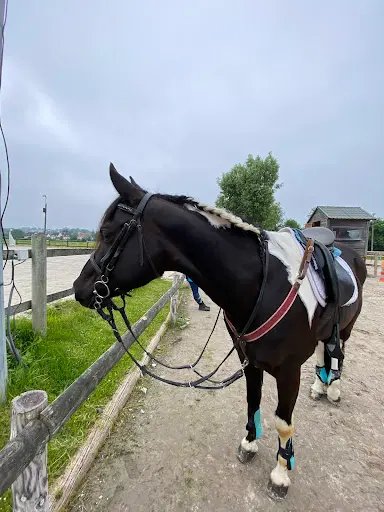 Ranch Josuah🌿