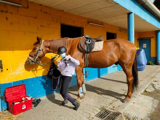 Poney Club de Vertain