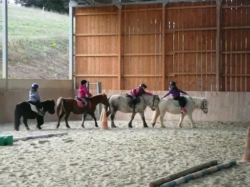 Ferme Equestre de Pommayrac
