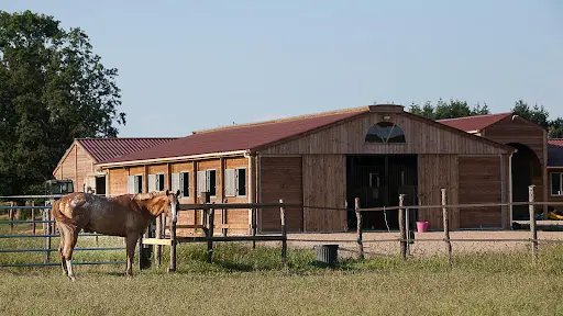 Spotted Ranch
