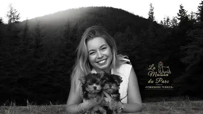 La Maison du Parc – Élevage Yorkshire Terrier Lof
