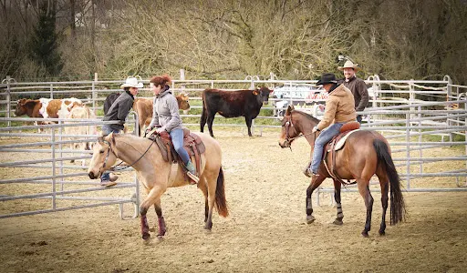 Vexin Horsemanship