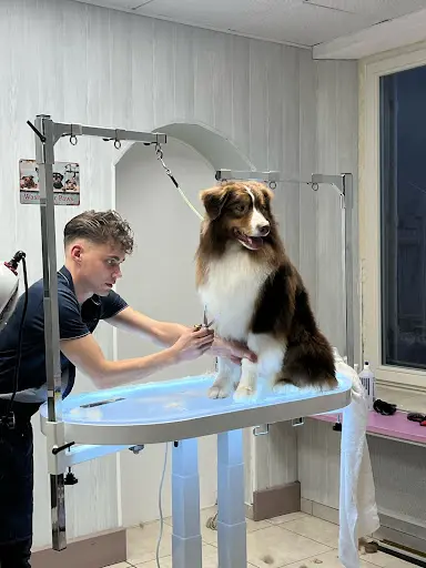 Le Chien Bleu