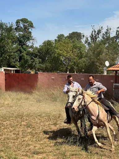 Pink Ranch