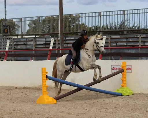 Ranch Fumat