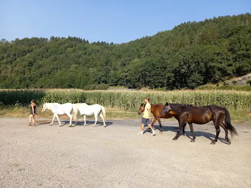 Ferme Équestre