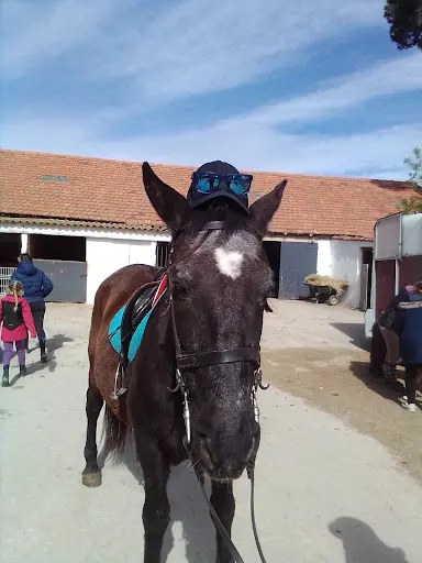 Cabal Arté et Clos de la Licorne