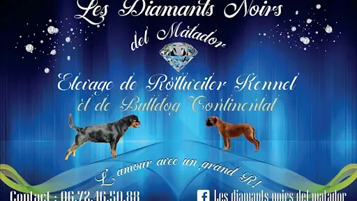 Les Diamants Noirs Del Matador Elevage de Rottweiler et Bulldog Continental
