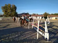 Ecurie Morgane Saby - Centre Équestre, Valorisation, Poney Club, Pensions et Balades À Cheval