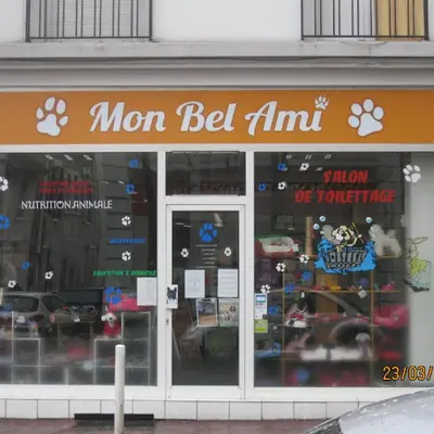 Mon Bel Ami