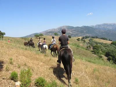 Ranch Corse Clg Sagone Ferme Équestre