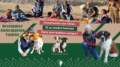 Bretignier Anticipation Canine