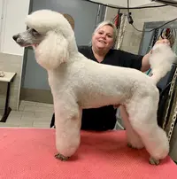 Pulsion Esthétique