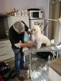 Jean Marc Perez / Toiletteur À Domicile