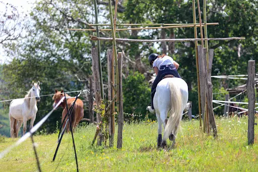 Parc d'Aventures À Cheval