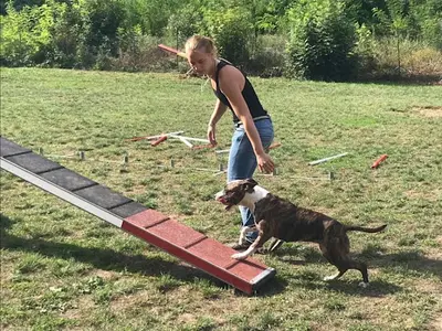Élevage Canin Psyche Destiny