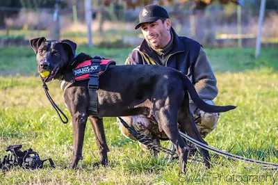 Partager Sa Passion - Eduquer Son Chien