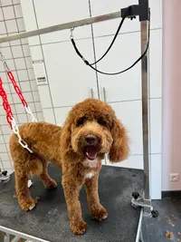 La Boite de Pandore