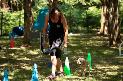 Les Gardiens d'Amarok | Éducateur Canin